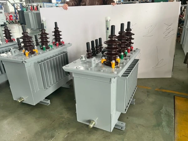 S13 Single Phase Oil Immersed Electrical Transformer